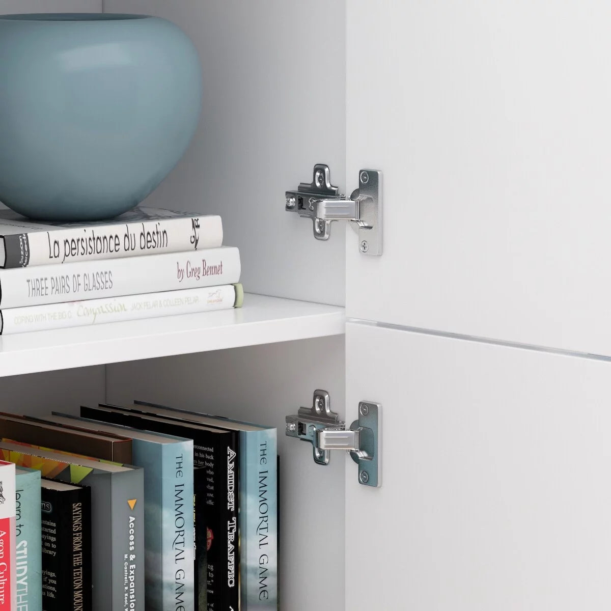 Tall Storage Cabinet with Doors and Adjustable Shelves U15065