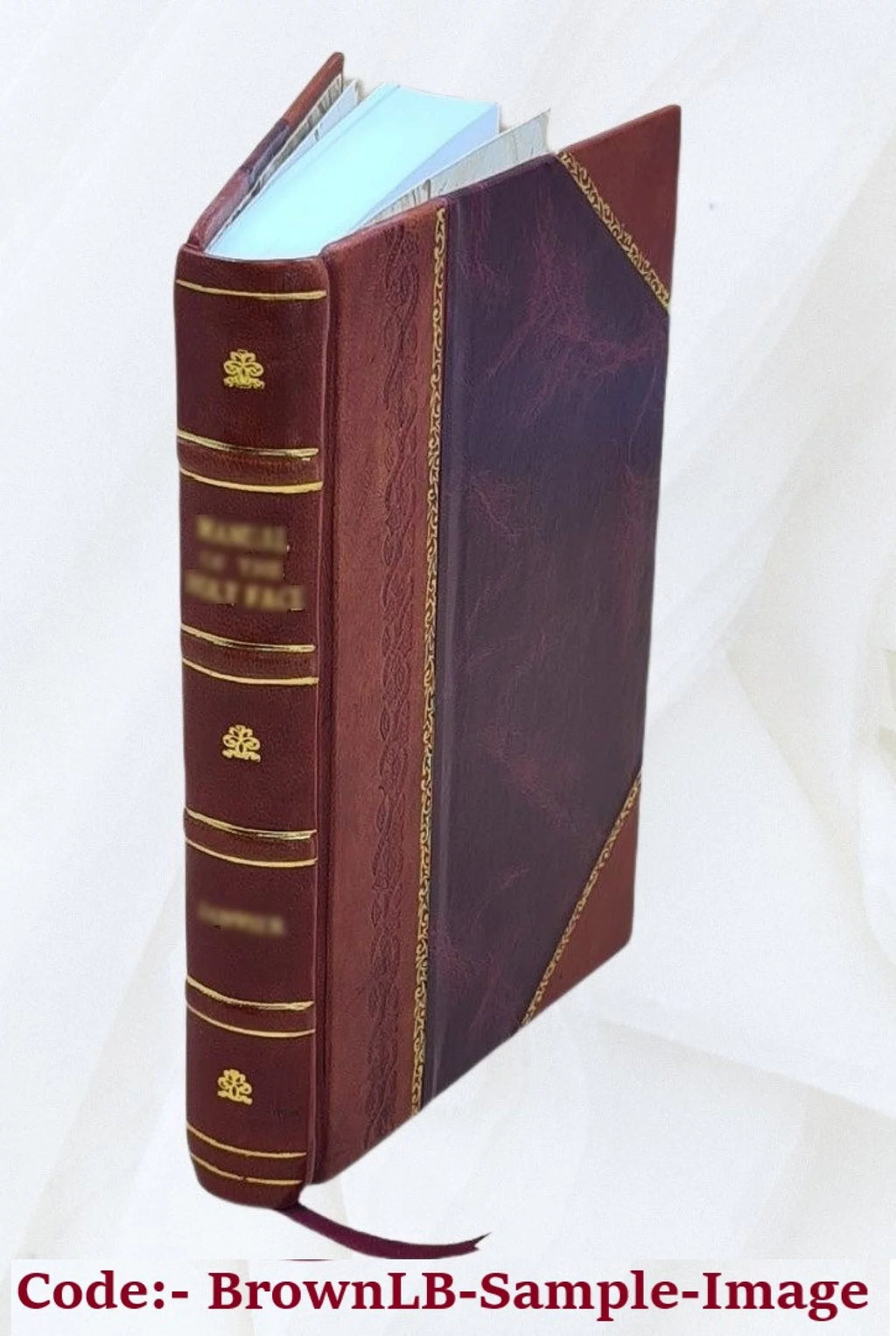 Leather Bound E934983