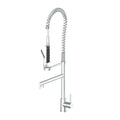 Brushed Nickel Kitchen Faucet I1571