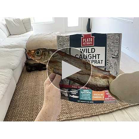 Dog Baltic Herring Pet Supplies V1385