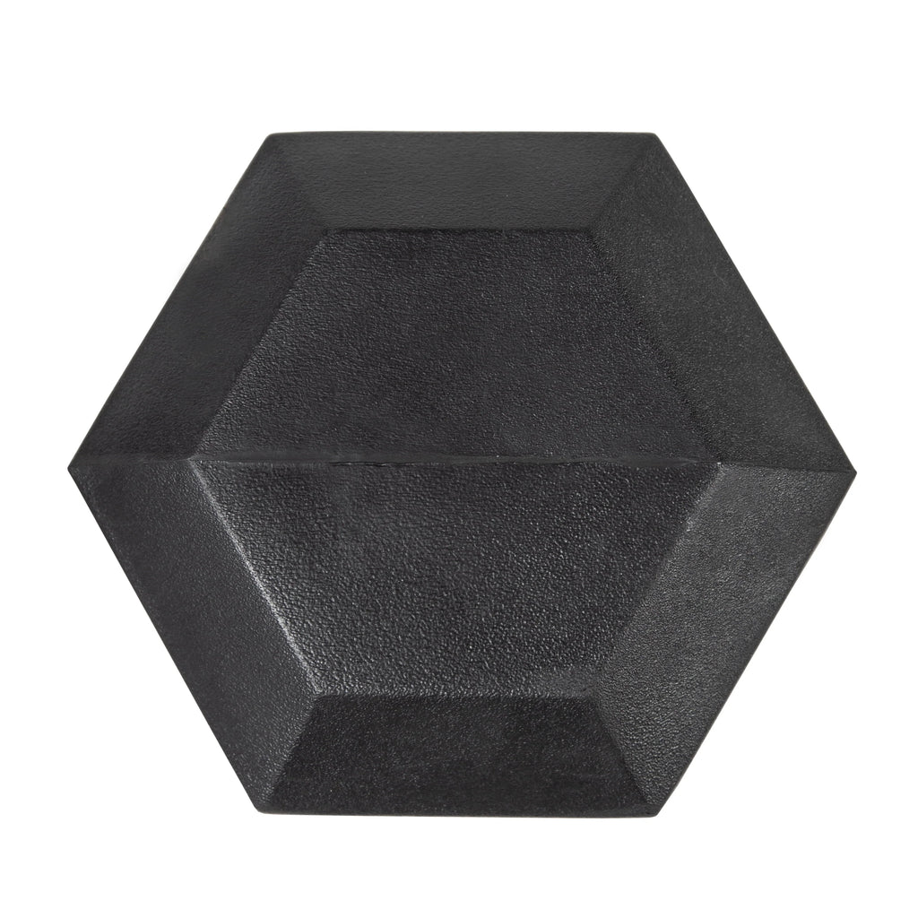 25lb Rubber Hex Dumbbell E578