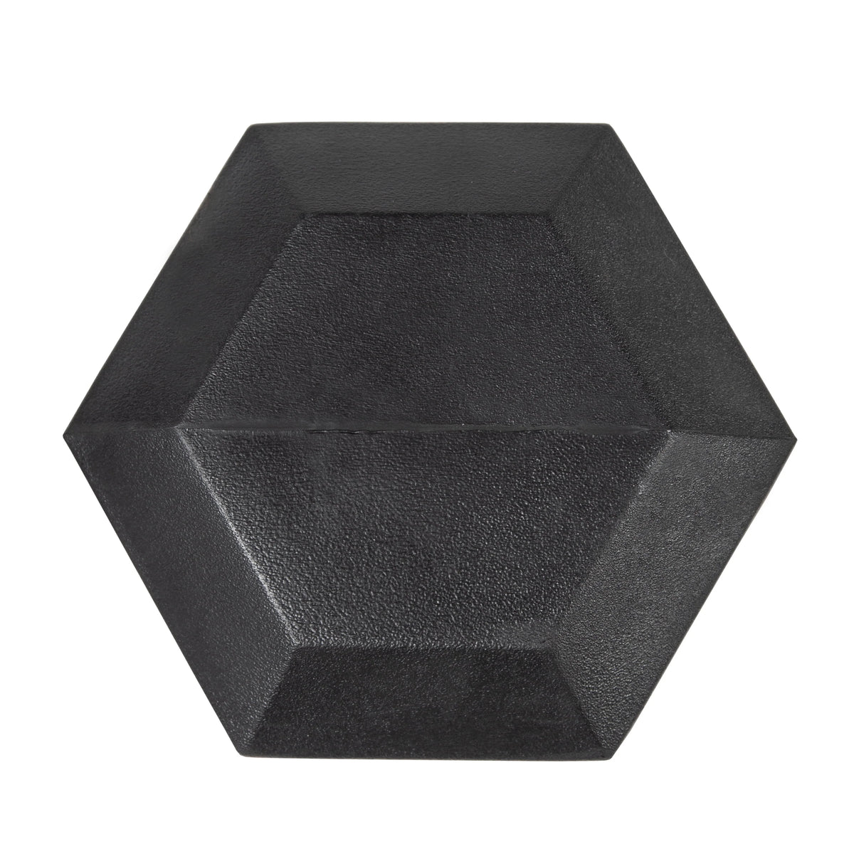 25lb Rubber Hex Dumbbell E578