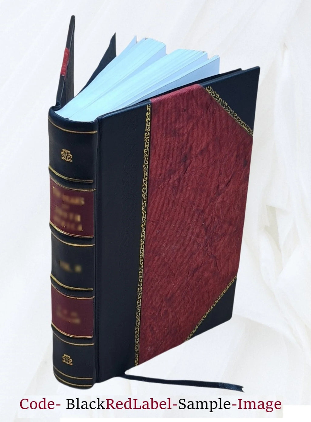 Leather Bound E934983